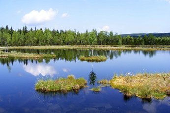 EA Mountain hotel Hajenka*** - hotel surroundings - Chalupska moor