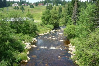 EA Mountain hotel Hajenka*** - hotel surroundings - Modravsky creek