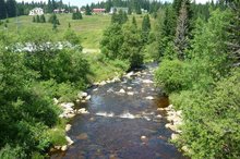 EA Mountain hotel Hajenka*** - hotel surroundings - Modravsky creek