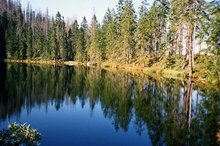 EA Mountain hotel Hajenka*** - hotel surroundings - Prasilske lake