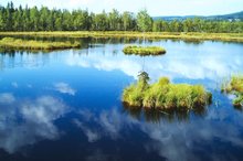 EA Mountain hotel Hajenka*** - hotel surroundings - Jezerni moor