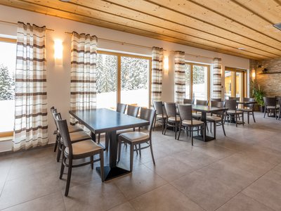 EA Mountain hotel Hajenka*** - restaurant