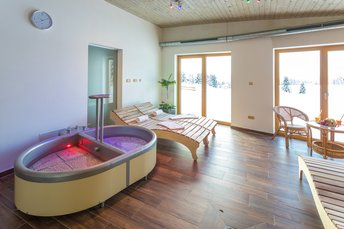 EA Mountain hotel Hajenka*** - wellness center